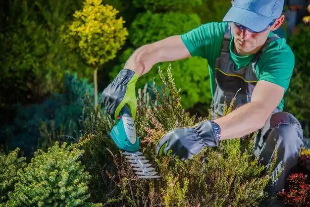 landscaping services Beechwood Village